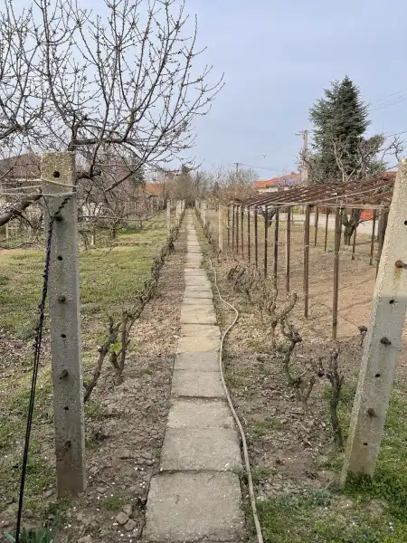 Eladó telek, Dunaújváros 1180 m² 12 M Ft