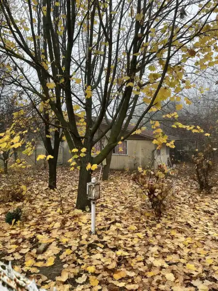 Eladó telek, Kulcs 1010 m² 16 M Ft